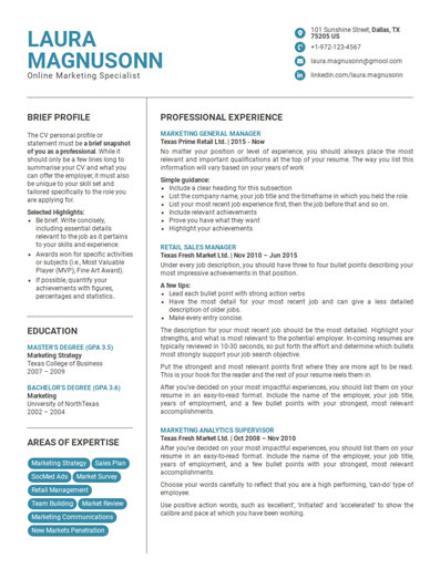 Resume Template 68