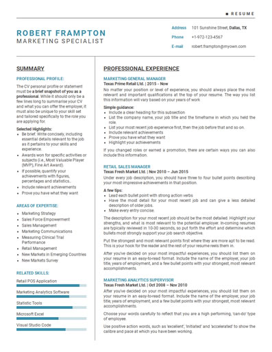 Resume Template 75